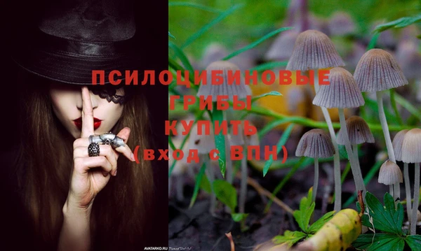 экстази Беломорск