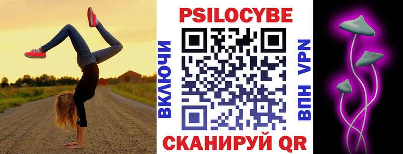 Псилоцибиновые грибы Psilocybine cubensis цена наркотик Гатчина