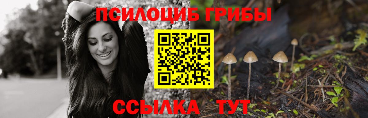 купить  сайты  Вход с VPN  Гатчина  Псилоцибиновые грибы ЛСД 